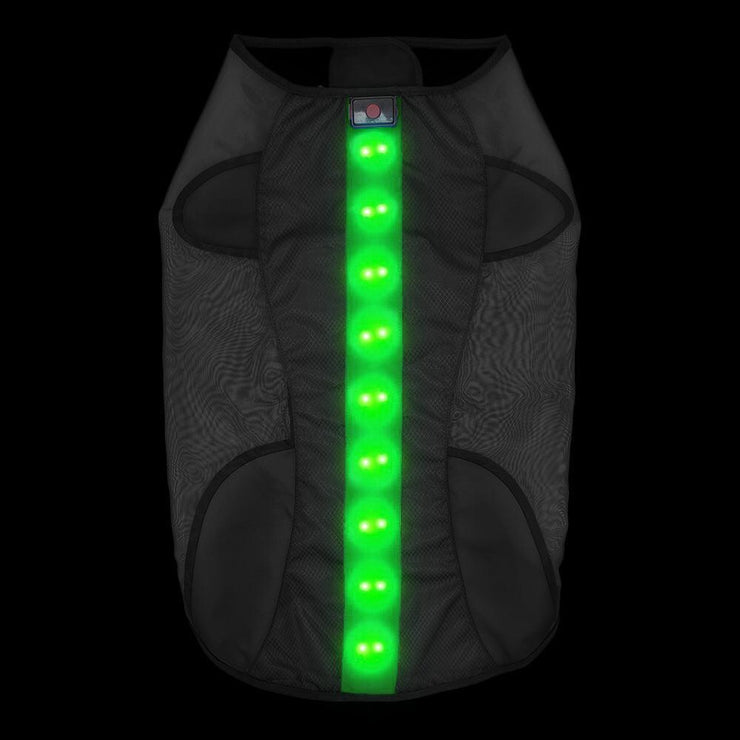 Small Green LED Rechargeable Dog Vest