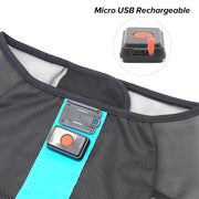 Small Blue LED Rechargeable Dog Vest