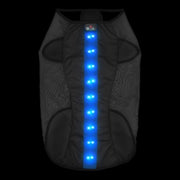 Small Blue LED Rechargeable Dog Vest