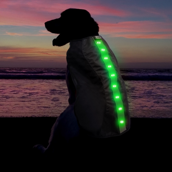 Large Green LED Rechargeable Dog Vest