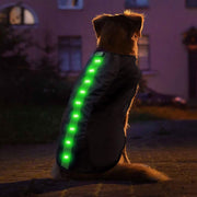 Medium Green LED Rechargeable Dog Vest