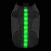 Large Green LED Rechargeable Dog Vest