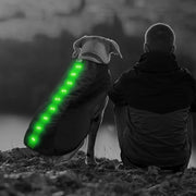 Small Green LED Rechargeable Dog Vest