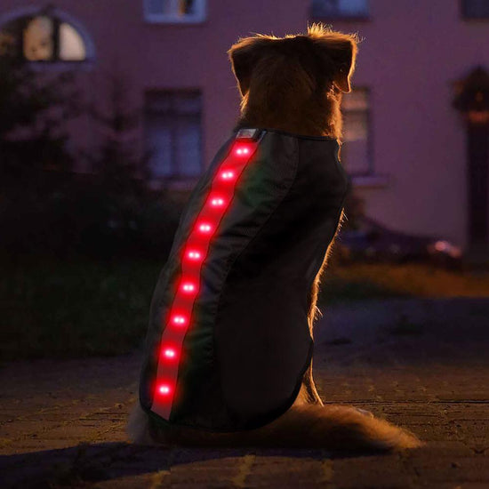 Large Red LED Rechargeable Dog Vest