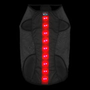 Small Red LED Rechargeable Dog Vest