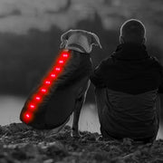 Small Red LED Rechargeable Dog Vest