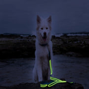 Green LED Rechargeable Dog Leash