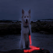 Red LED Rechargeable Dog Leash