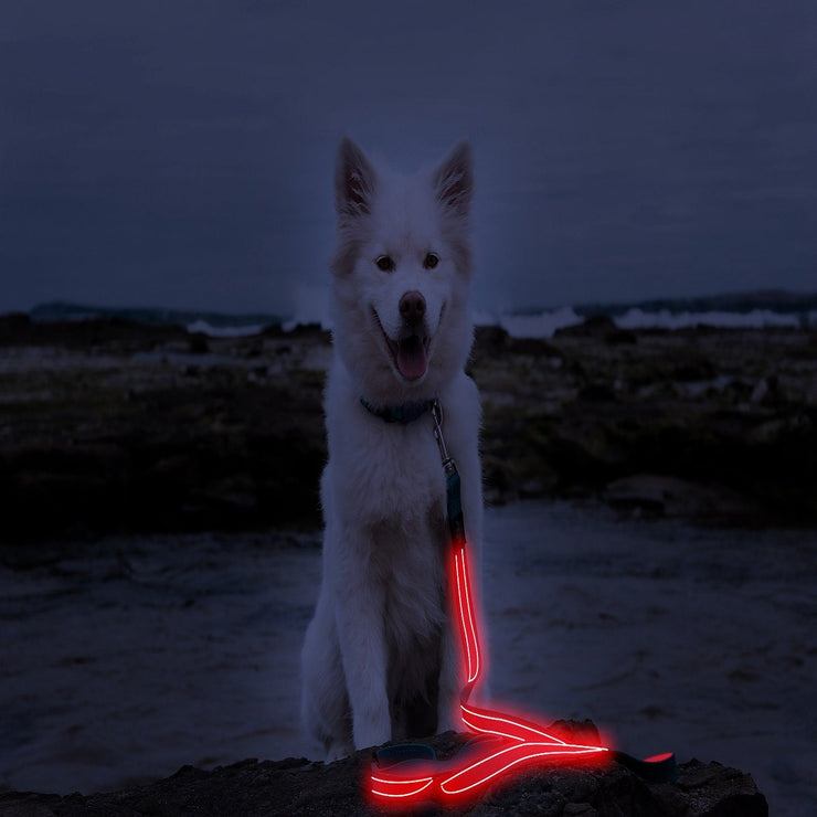 Red LED Rechargeable Dog Leash