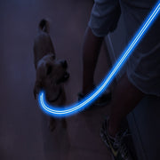 Blue LED Rechargeable Dog Leash