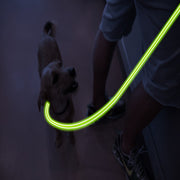 Blue LED Rechargeable Dog Leash