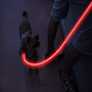 Red LED Rechargeable Dog Leash