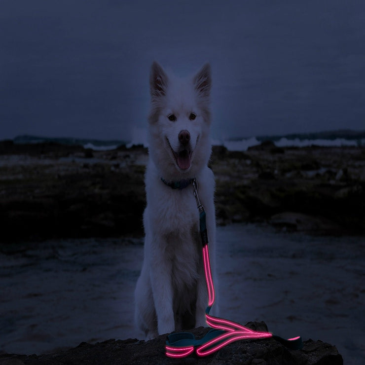 Pink LED Rechargeable Dog Leash