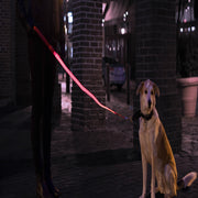 Pink LED Rechargeable Dog Leash