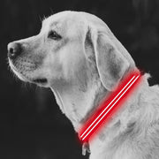 Large Red LED Rechargeable Dog Collar